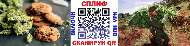 Cannafood конопля  закладка  Тогучин 