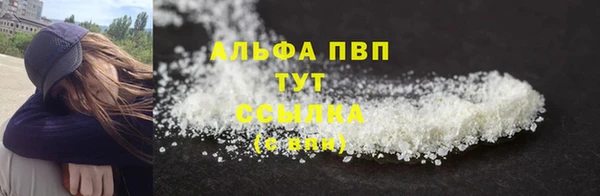 spice Новодвинск