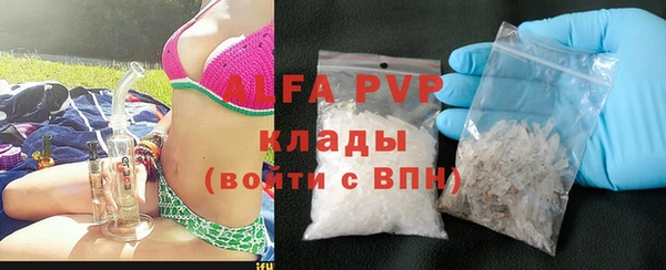 spice Новодвинск