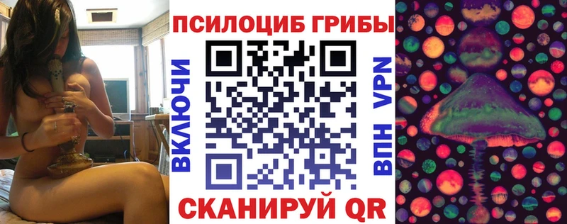 где найти наркотики  Тогучин  Псилоцибиновые грибы Psilocybine cubensis 